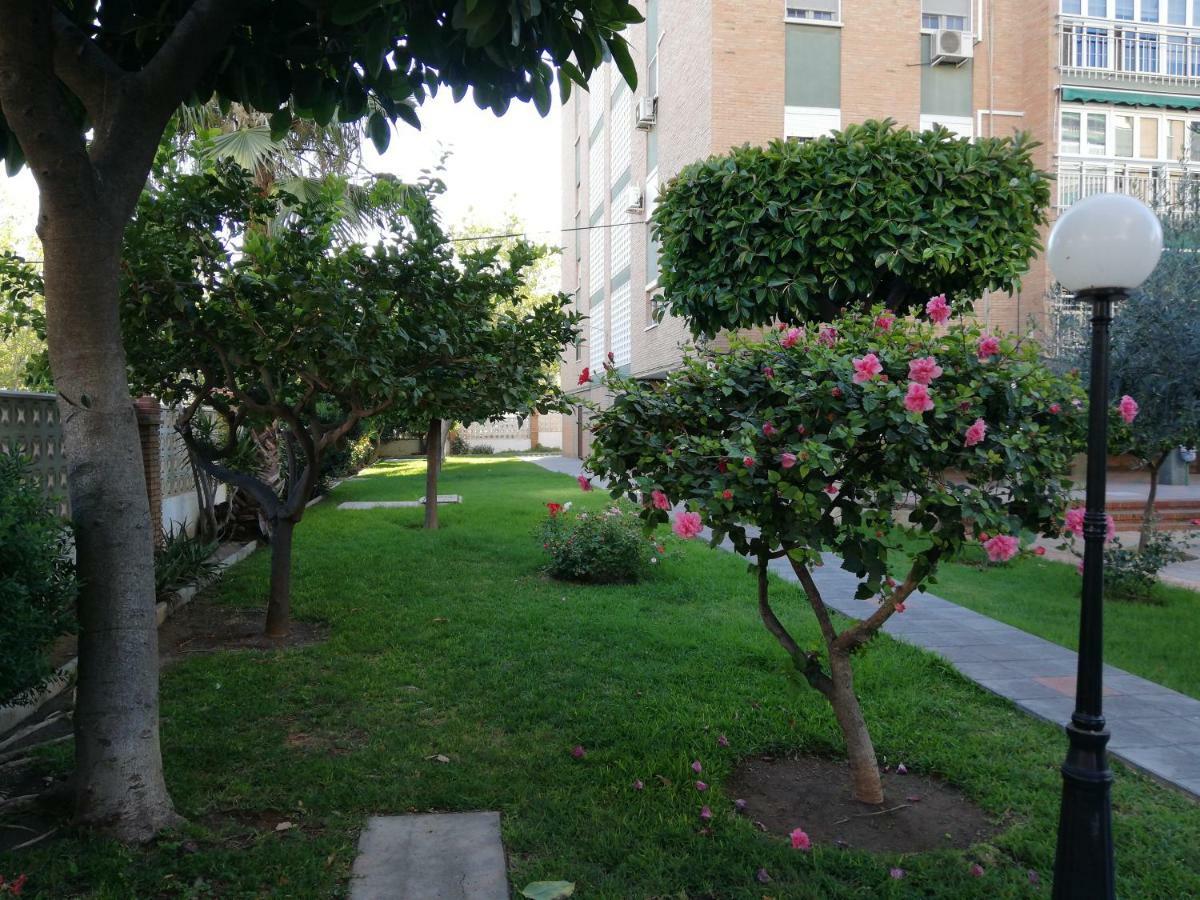 Appartamento Aurora *